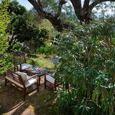 Apartment Sunrise View *