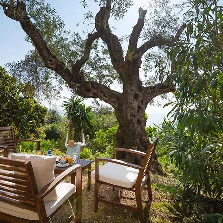 Sunrise View Apartment Barbati