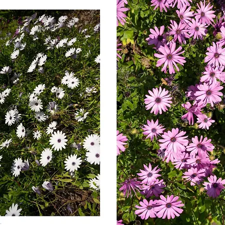 Sunrise View 公寓 巴尔巴蒂